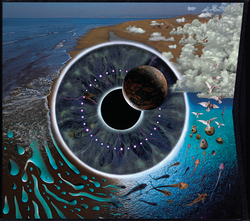 album-detail-cover