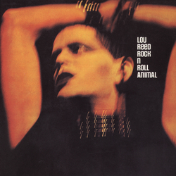 album-detail-cover