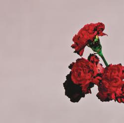 album-detail-cover