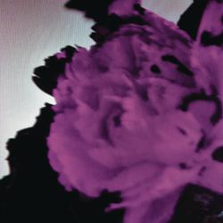 album-detail-cover