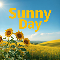 Sunny Day cover Sunny Day cover
